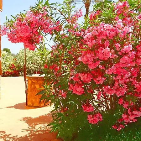 Villa Son Mas
